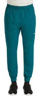 Mens momentum jogger pants in tall