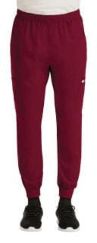 Mens momentum jogger pants in tall